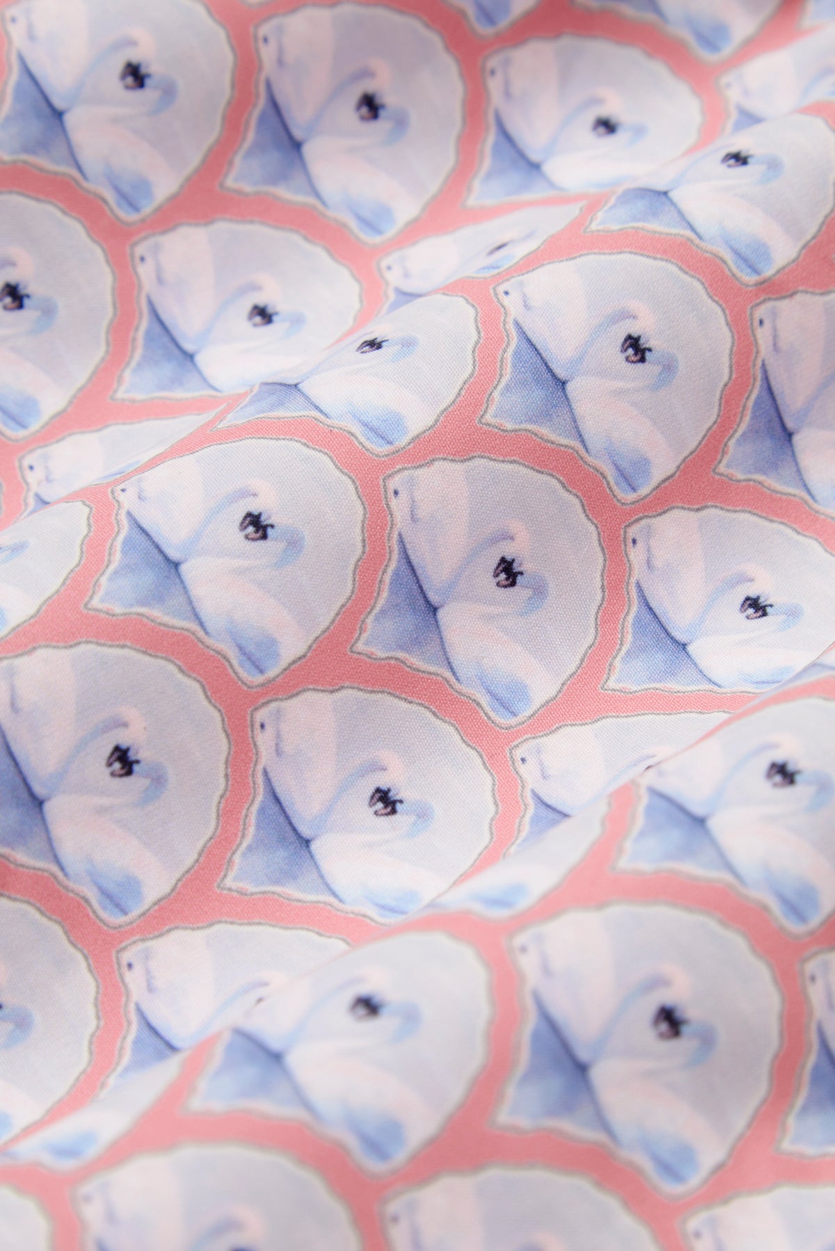 CORAL SWANS SWIM TRUNKS